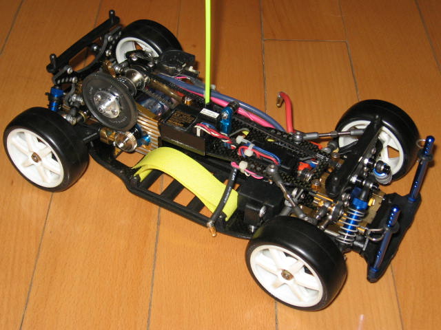 insect specimen 113.jpg